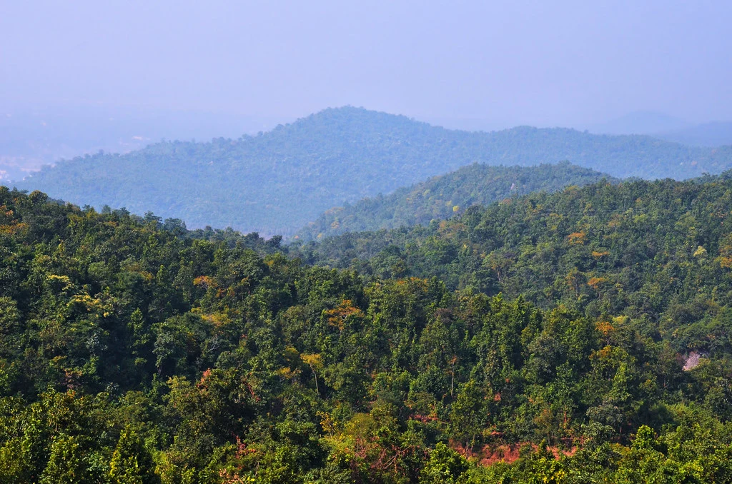 Scenic View